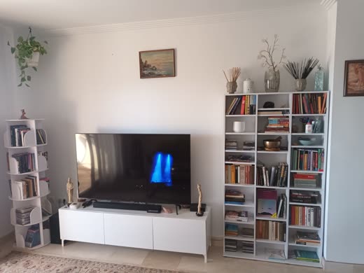 Obývací pokoj s televizí a knihovnou